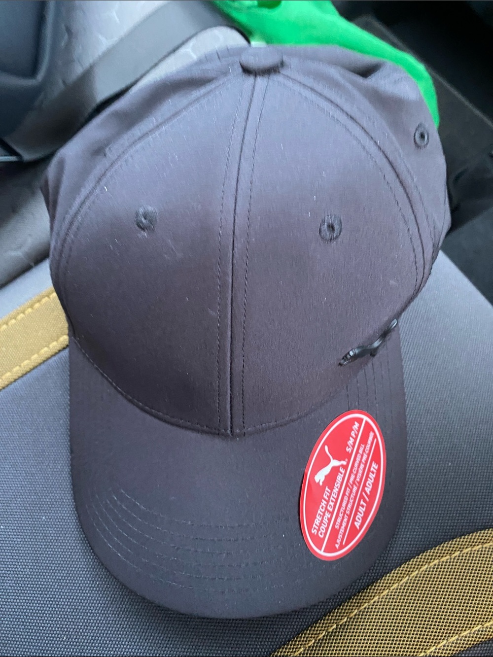 Puma Black Curved-Brim Cap with Subtle Logo
